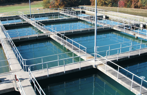 Water Plant Pools
