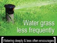 Water Grass less frequently. Watering deeply & less often encourages deep root growth and drought tolerance.