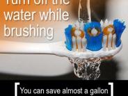 Turn off the water while brushing. You can save almost a gallon every time you brush.
